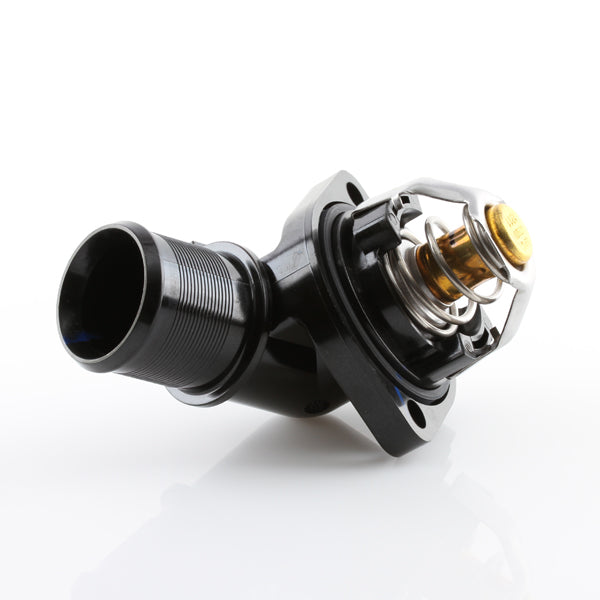 TT1308-186P - Thermostat