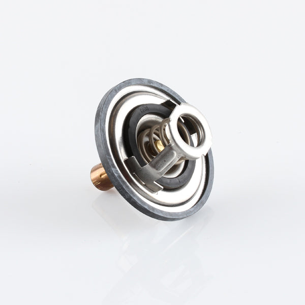 TT1309-185 - Thermostat
