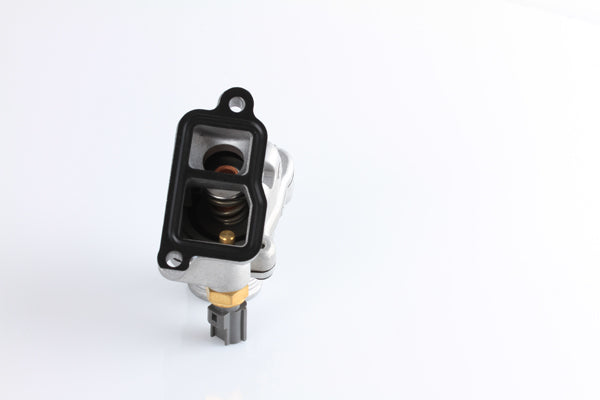 TT1606-194 - Thermostat