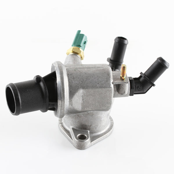 TT1669-190 - Thermostat