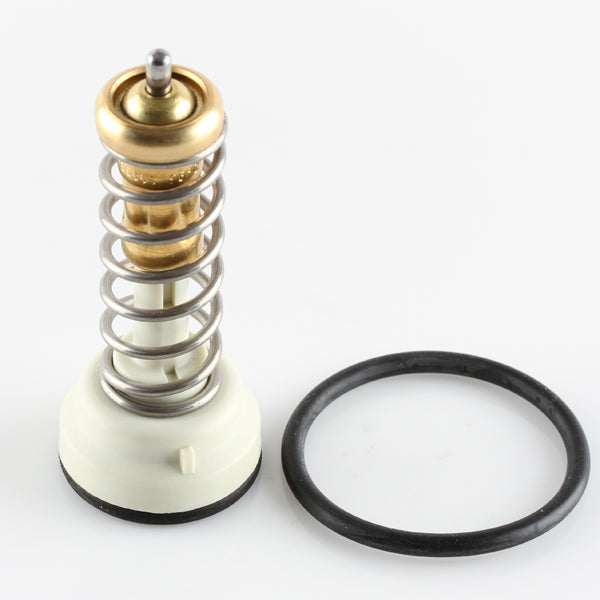 TT1686-203 - Thermostat