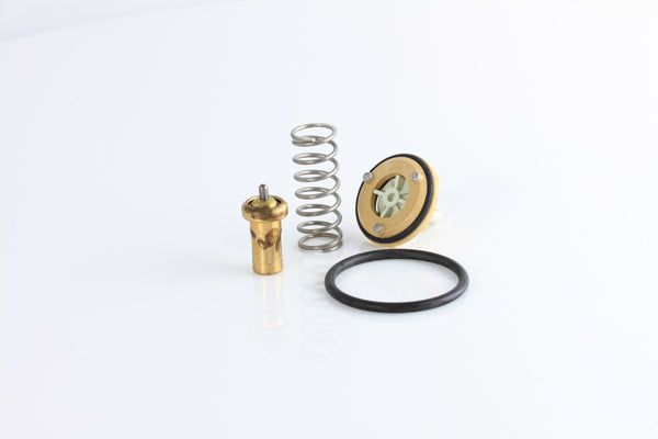 TT1689-176 - Thermostat