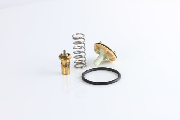TT1689-176 - Thermostat
