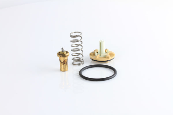 TT1689-176 - Thermostat