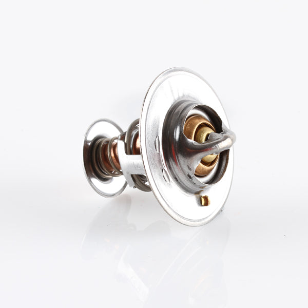 TT1694-176 - Thermostat