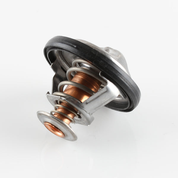 TT1731-194 - Thermostat