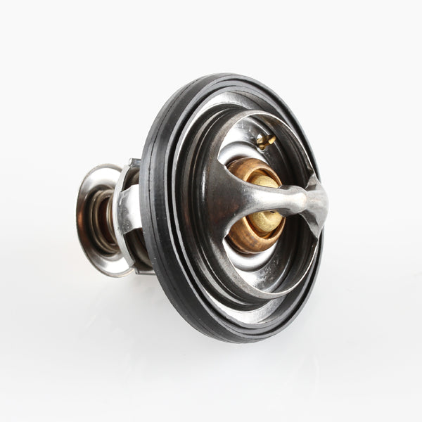 TT1731-194 - Thermostat