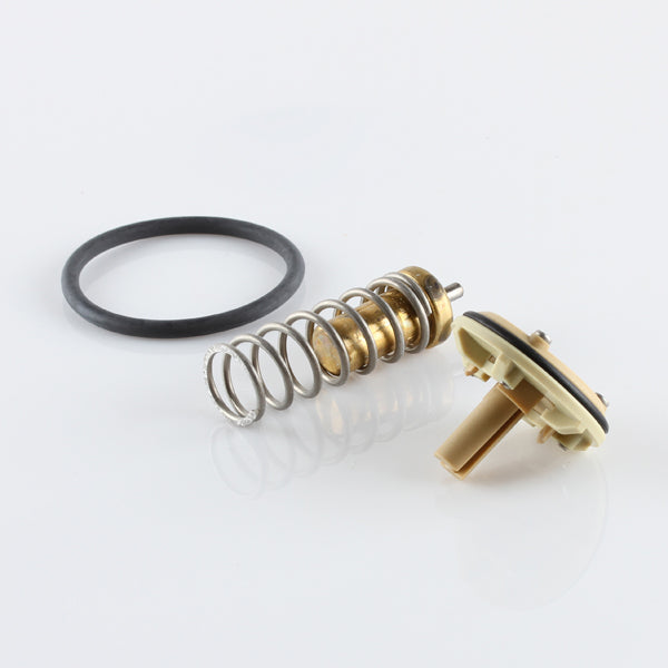 TT1745-181 - Thermostat