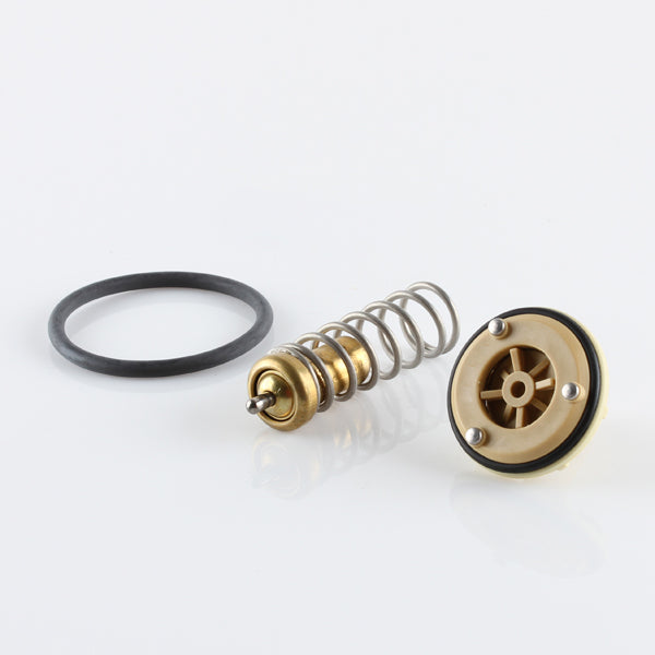 TT1745-181 - Thermostat