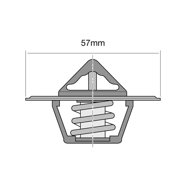 TT208-170 - Thermostat