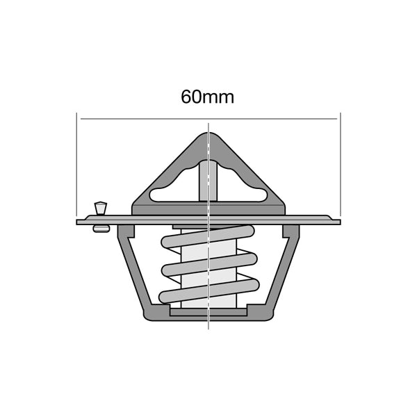 TT209-160 - Thermostat