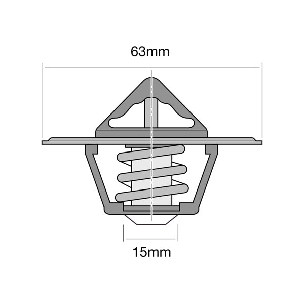 TT220-160 - Thermostat
