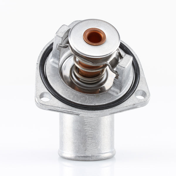 TT287-195P - Thermostat