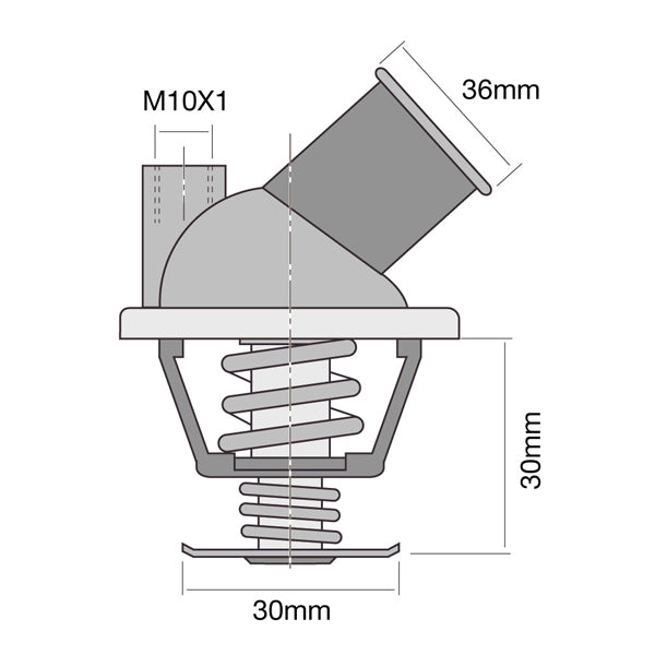 TT287-195P - Thermostat