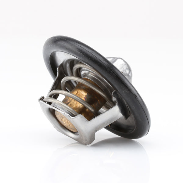 TT333-198 - Thermostat