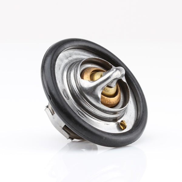 TT333-198 - Thermostat