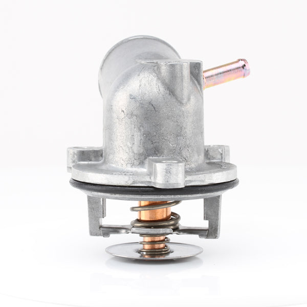 TT351-189P - Thermostat