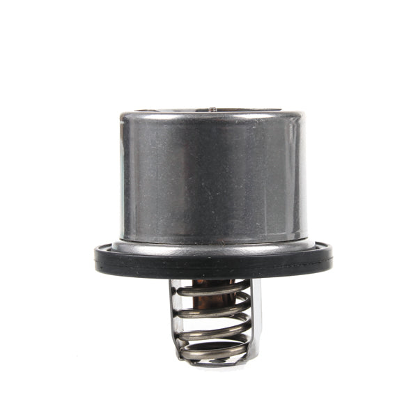 TT4079-174 - Thermostat
