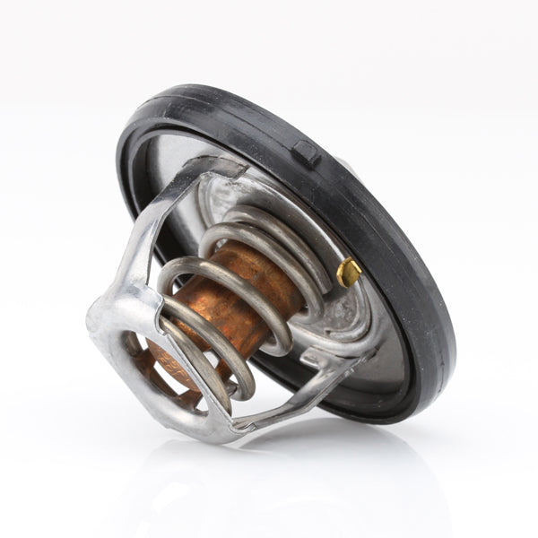 TT420-195 - Thermostat