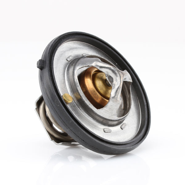 TT420-195 - Thermostat