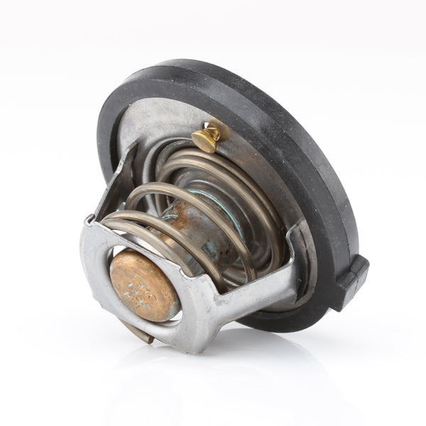TT425-195 - Thermostat