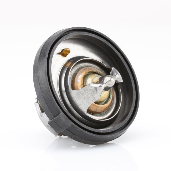 TT425-195 - Thermostat