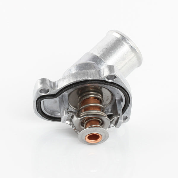 TT436-198P - Thermostat