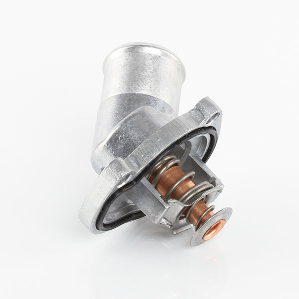 TT436-198P - Thermostat