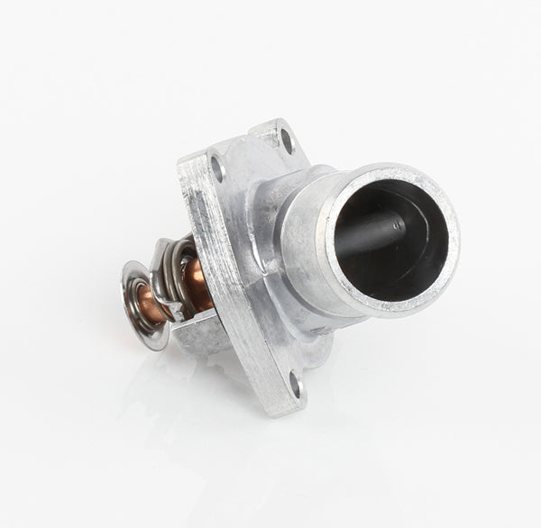TT436-198P - Thermostat