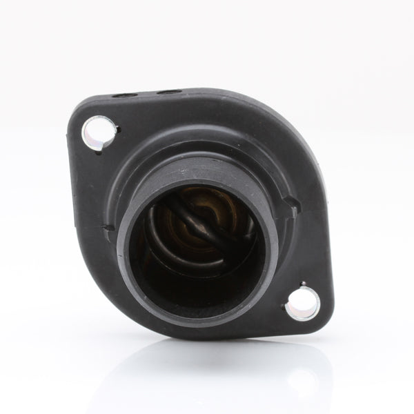 TT438-192P - Thermostat