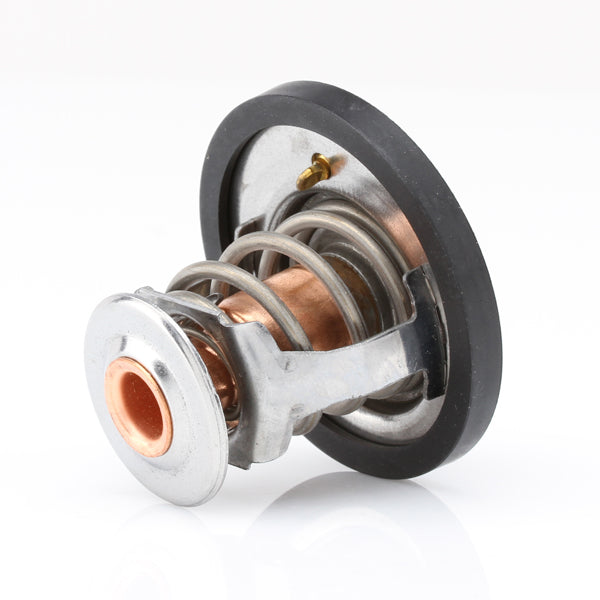 TT441-170 - Thermostat