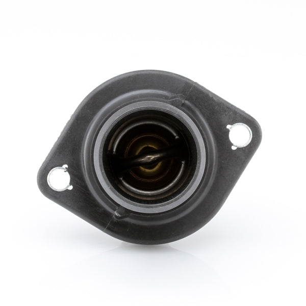 TT443-192P - Thermostat