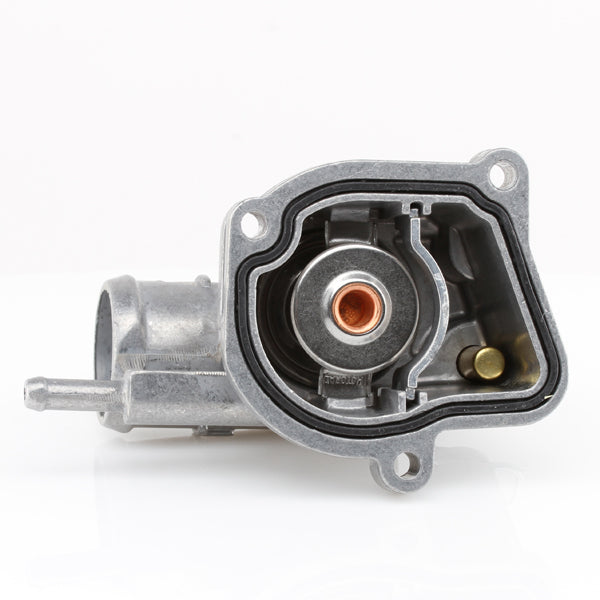 TT498-189 - Thermostat