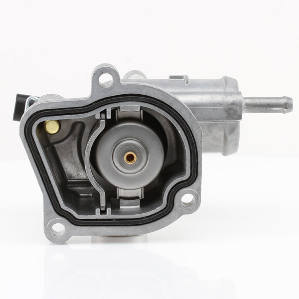 TT503-189 - Thermostat