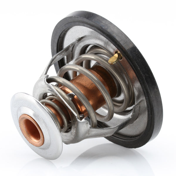 TT533-174 - Thermostat