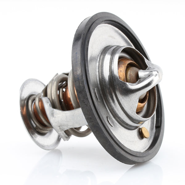 TT533-174 - Thermostat