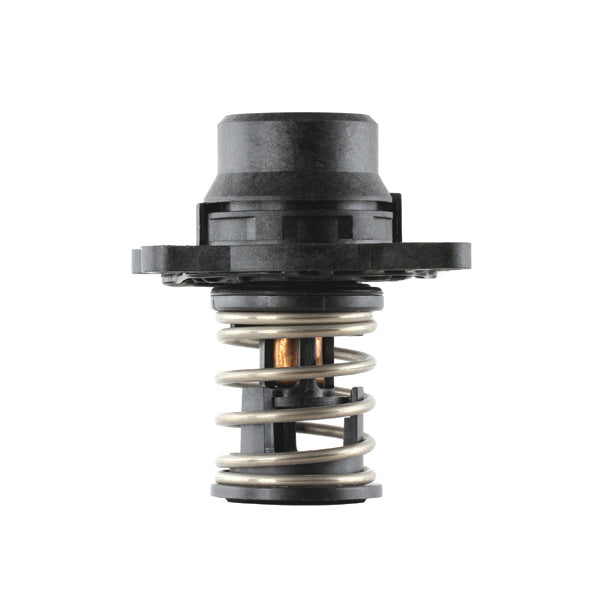 TT544-189 - Thermostat
