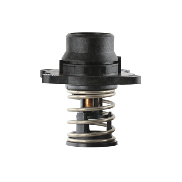 TT544-189 - Thermostat