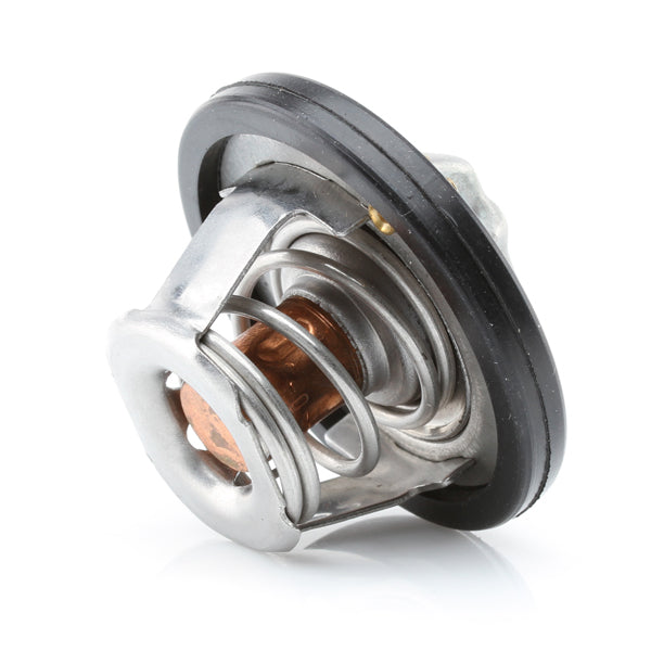 TT565-180 - Thermostat