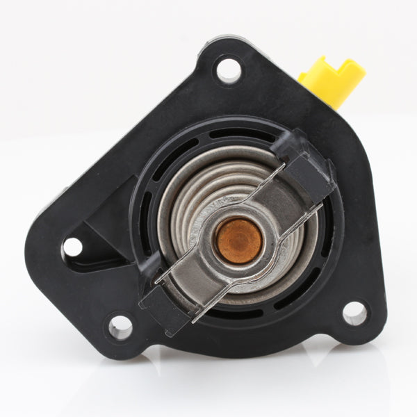 TT566-183 - Thermostat
