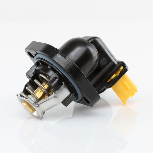 TT573-217 - Thermostat