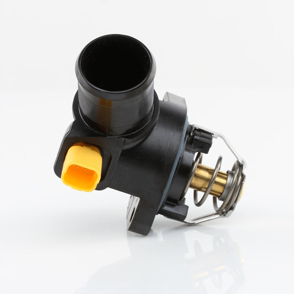 TT573-217 - Thermostat