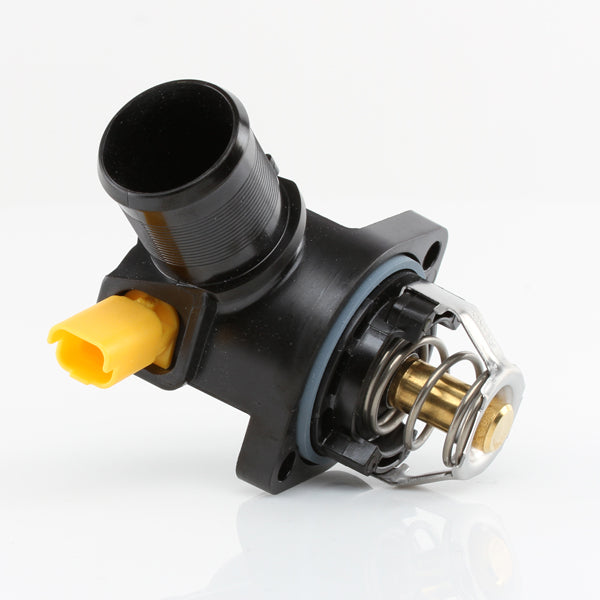 TT573-217 - Thermostat