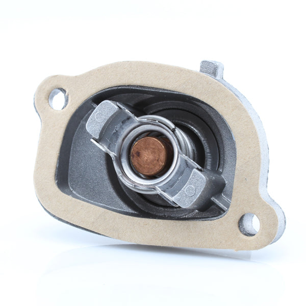 TT585-189 - Thermostat