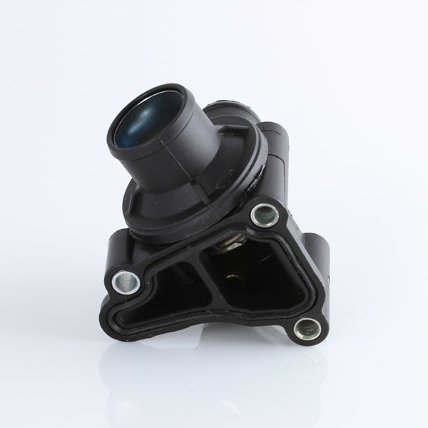 TT599-189 - Thermostat
