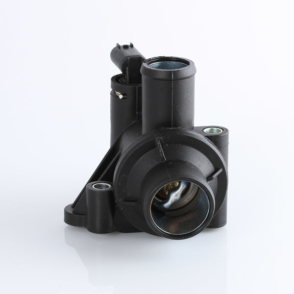 TT599-189 - Thermostat