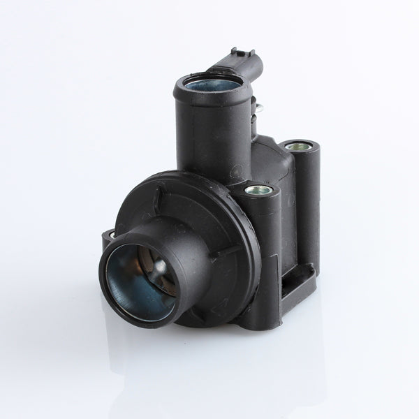 TT599-189 - Thermostat