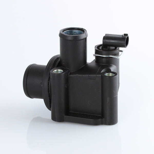 TT599-189 - Thermostat