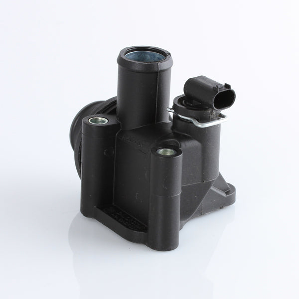 TT599-189 - Thermostat
