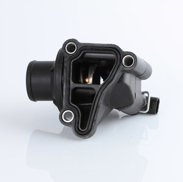 TT599-189 - Thermostat